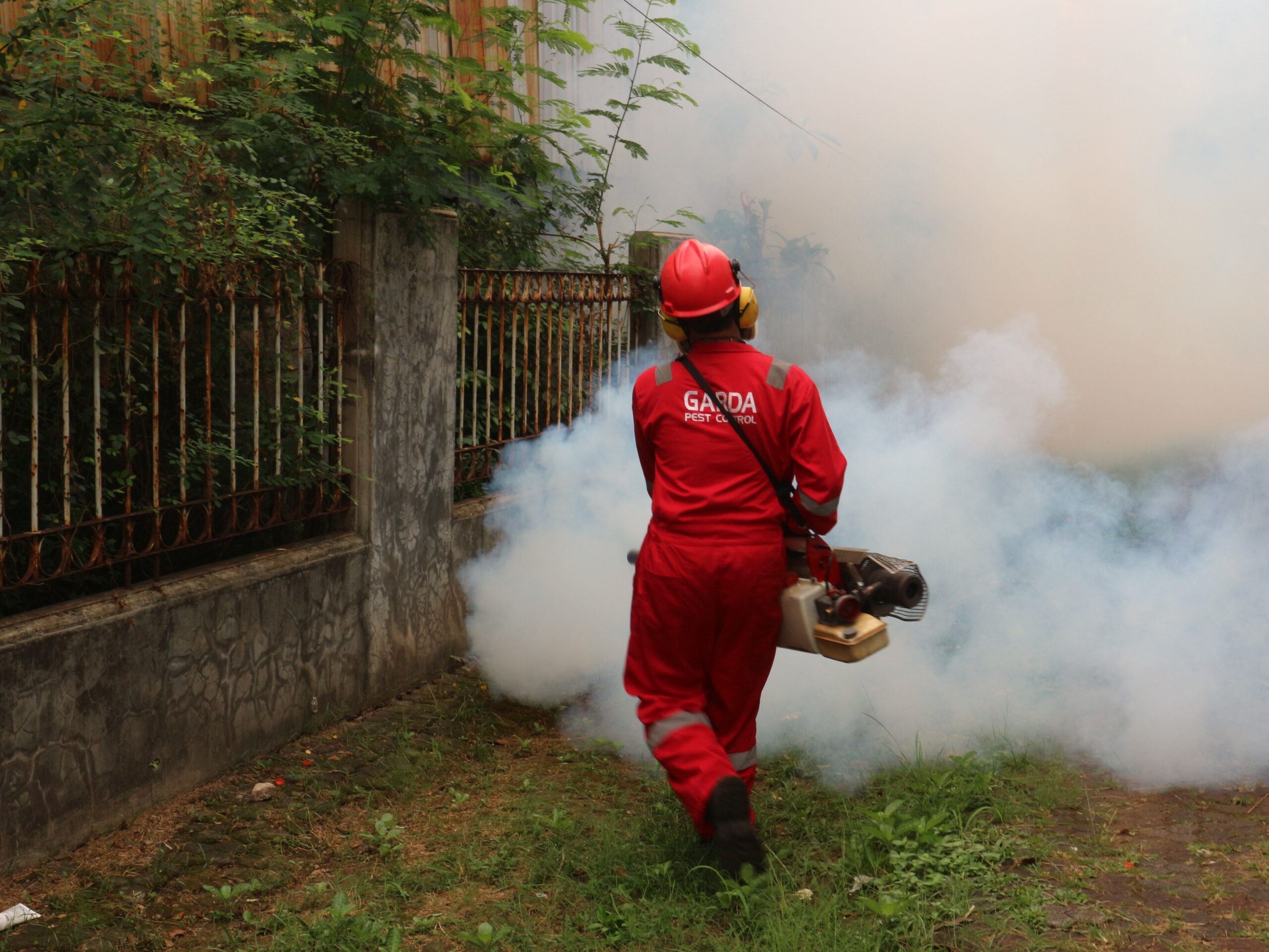 pest control services