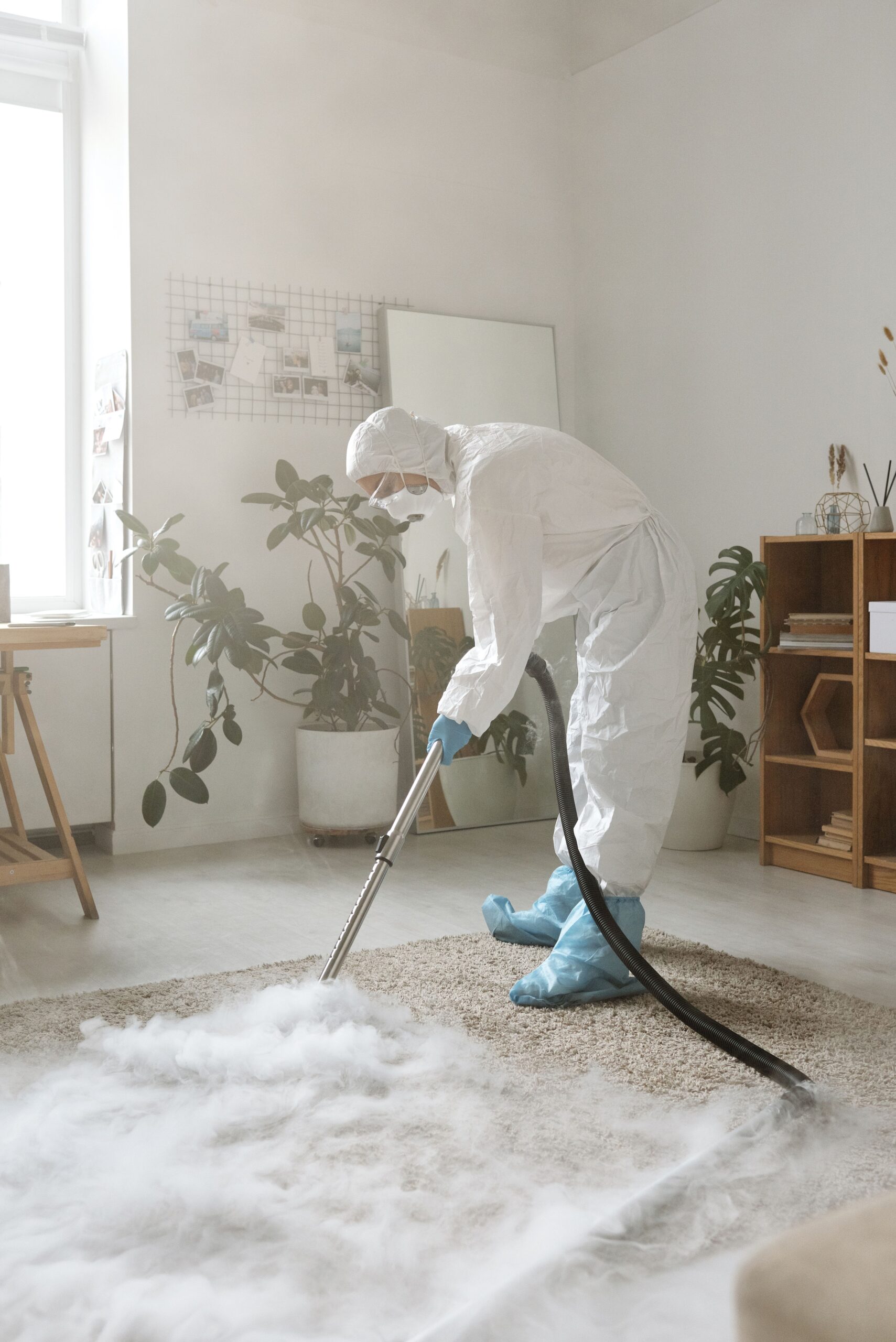 carpet cleaning services
